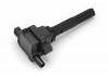 Ignition Coil:F 01R 00A 021