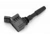 Ignition Coil:0 986 221 057